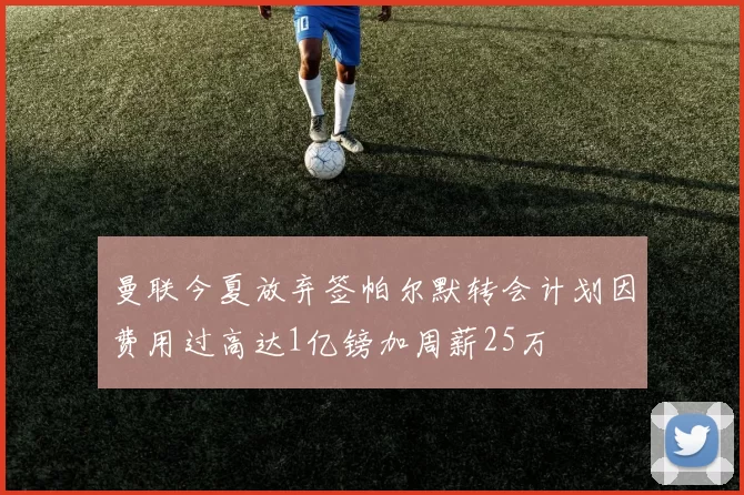 曼联今夏放弃签帕尔默转会计划因费用过高达1亿镑加周薪25万