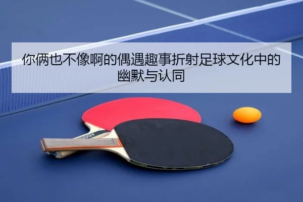 你俩也不像啊的偶遇趣事折射足球文化中的幽默与认同